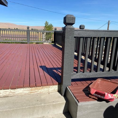 WhatsApp Image 2026-01-30 at 12.09.29 PM (1)