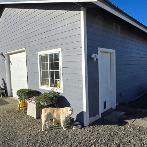 WhatsApp Image 2026-01-30 at 12.15.16 PM